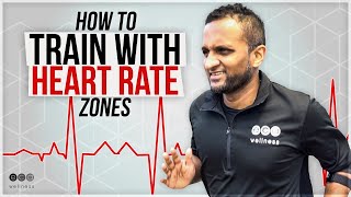 How To Train With Heart Rate Training Zone [upl. by Inahpets489]