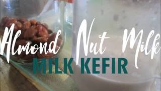 Easy Almond Nut Milk Kefir  Recipe [upl. by Boniface]