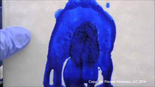 Coomassie Blue Bloody Fingerprint Development [upl. by Gorey956]