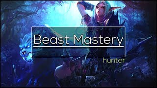 Legion  Beast Mastery Hunter  Full DPS Guide 732735 [upl. by Tor]