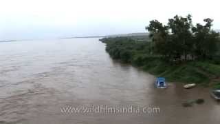 Crossing the mighty Brahmaputra in monsoon spate [upl. by Enenstein]