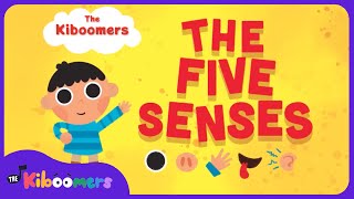 Five Senses  The Kiboomers Kids Learning Songs For Circle Time  Body Parts Song [upl. by Eceinhoj]