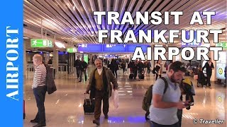 TRANSIT WALK AT FRANKFURT Airport FRA Terminal 1  Connection Flight Transfer Arriving amp Departing [upl. by Llertnauq588]