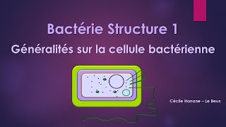 Bactérie Structure 1 BACTERIE [upl. by Laamak]